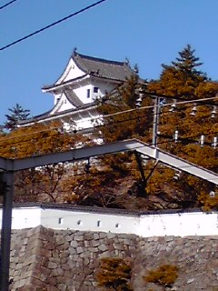 �邧����