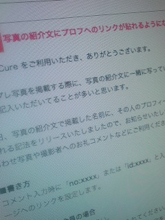�����́c